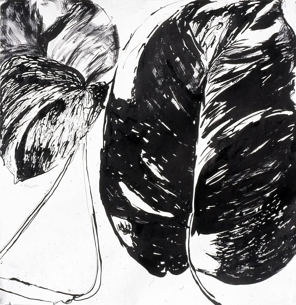 Untitled XIII
